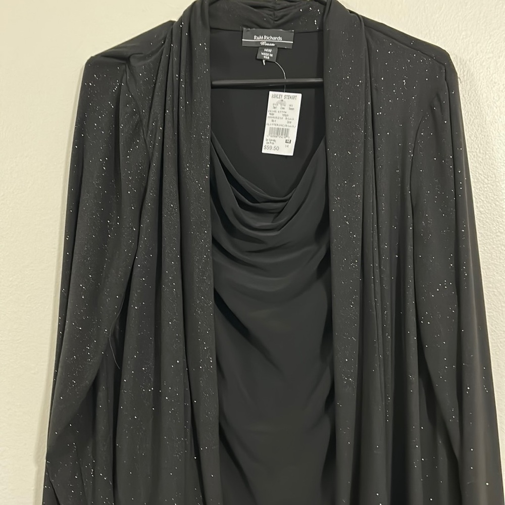 R&M Richards Dress/Glittery Jacket. Size 14W